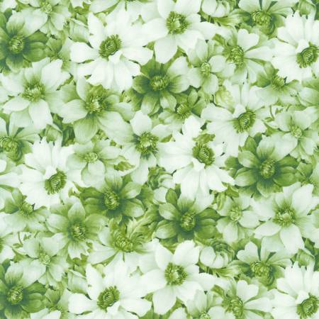 Robert Kaufman - Softly - Packed Flowers Green