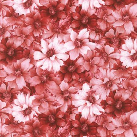 Robert Kaufman - Softly - Packed Flowers Blush