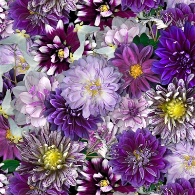 Clothworks - Tina’s Garden - Digital Purple Dahlias