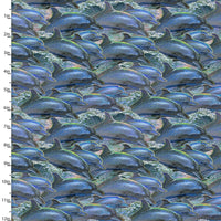 3 Wishes Fabrics - Call of the Sea - Dolphins Multi