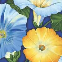 Benartex - Flower Festival - Morning Glories Blue/Yellow