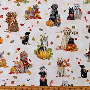 Robert Kaufman - Autumn Cats & Dogs - Cats & Dogs Cream