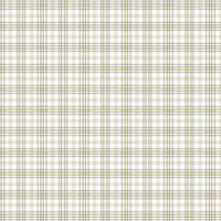 Wilmington Prints - Fields of Gold - Plaid White/Gray