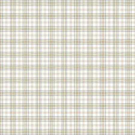 Wilmington Prints - Fields of Gold - Plaid White/Gray