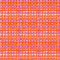 Blank Quilting - Whimsy Daisical II - Plaid Orange