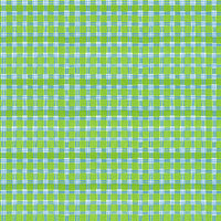 Blank Quilting - Whimsy Daisical II - Plaid Green