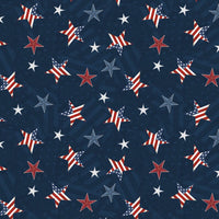 PS73 - Wilmington Prints - Hearts’ Anthem - Star Toss Blue