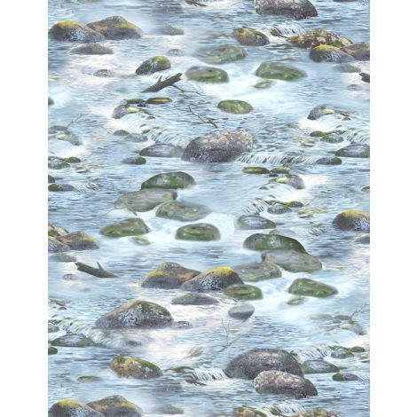 Wilmington Prints - A New Adventure - River Rocks Lt. Blue