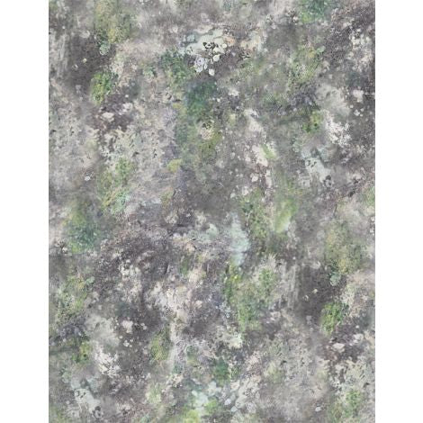 Wilmington Prints - A New Adventure - Moss & Rocks Texture Gray