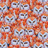 Blank Quilting - Woodland Fantasy - Owls Amber