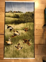 Panel - Quails