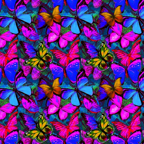 Print Concepts - Butterflies In Flight - Packed Butterflies