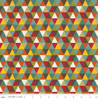 Riley Blake Fabrics - Knit - Giraffe Crossing 2 Triangles Multi